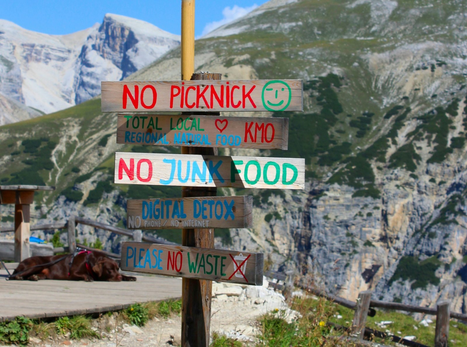 A wooden sign with many different signs on it